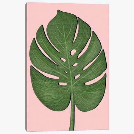 Exotic Leaf III Canvas Print #PAV912} by Martina Pavlova Canvas Art Print