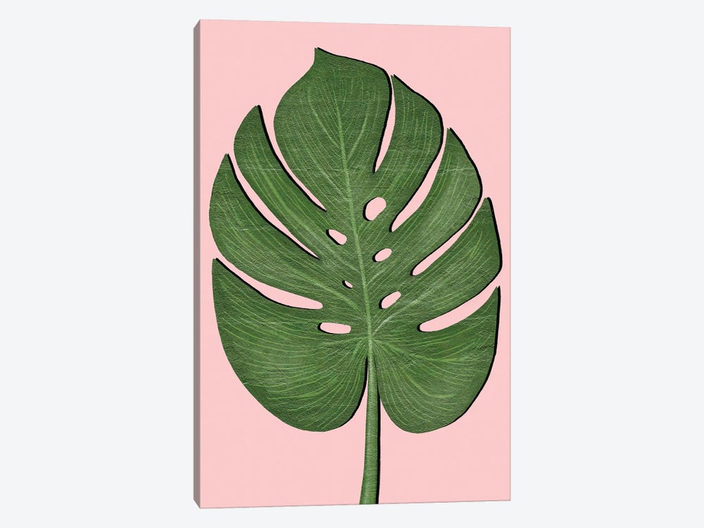 Exotic Leaf III by Martina Pavlova 1-piece Canvas Art Print