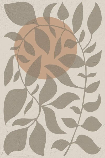 Sunrise Plant by Martina Pavlova framed wall art