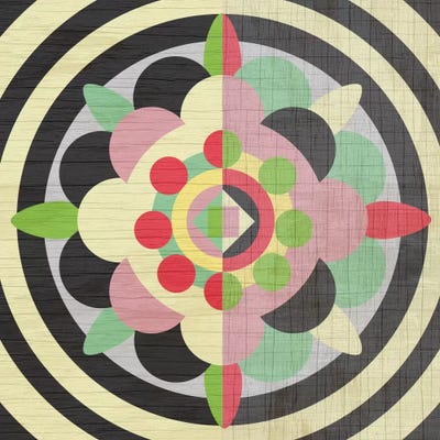 Flower Power by Susana Paz framed wall art