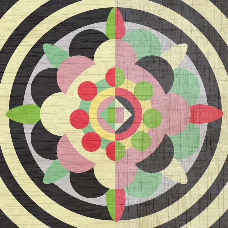 Flower Power by Susana Paz wall art