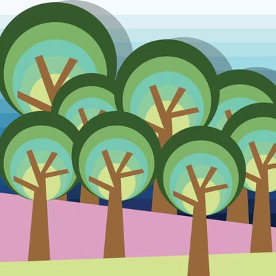 Forest by Susana Paz framed wall art