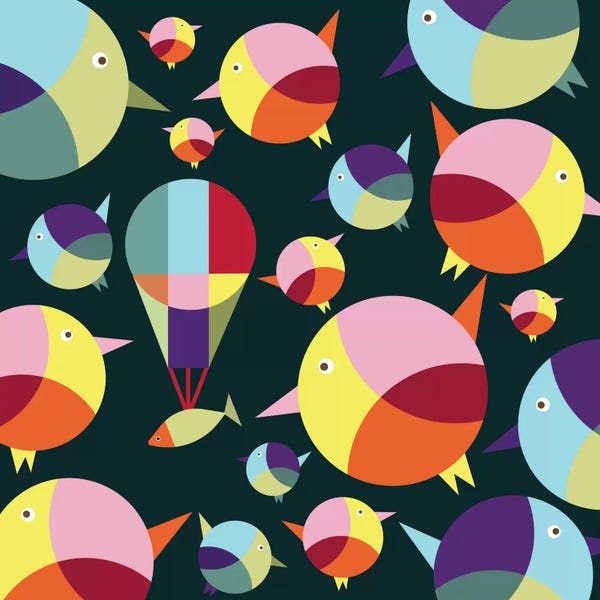 Susana Paz: I Can Fly by Susana Paz
