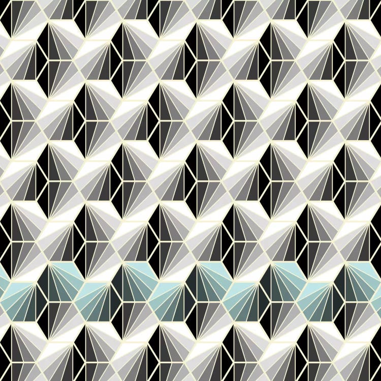Natural Geometry I by Susana Paz wall art