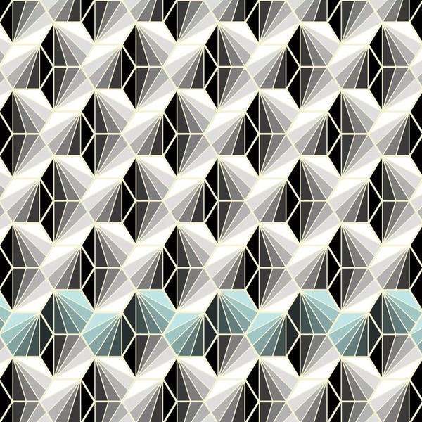 Susana Paz: Natural Geometry I by Susana Paz