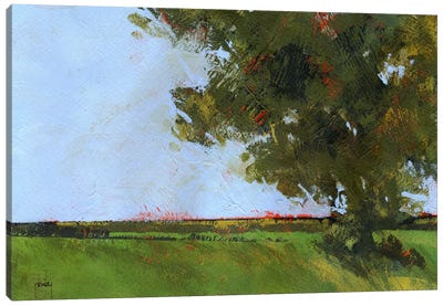 Autumn Oak And Empty Fields Canvas Art Print