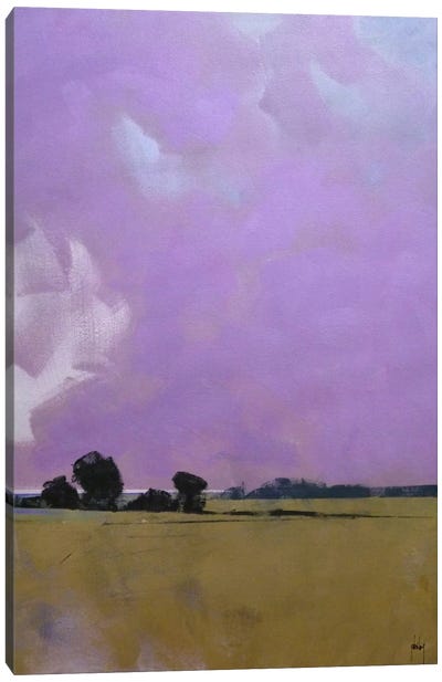 Over The Fields To The Distant Sea Canvas Art Print