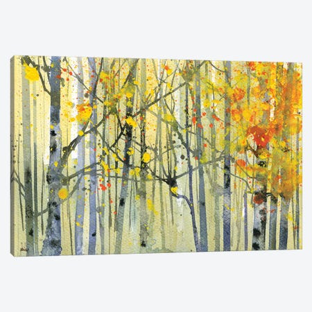 Autumn Birches Canvas Print #PBA1} by Paul Bailey Art Print