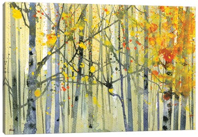 Autumn Birches Canvas Art Print - Paul Bailey