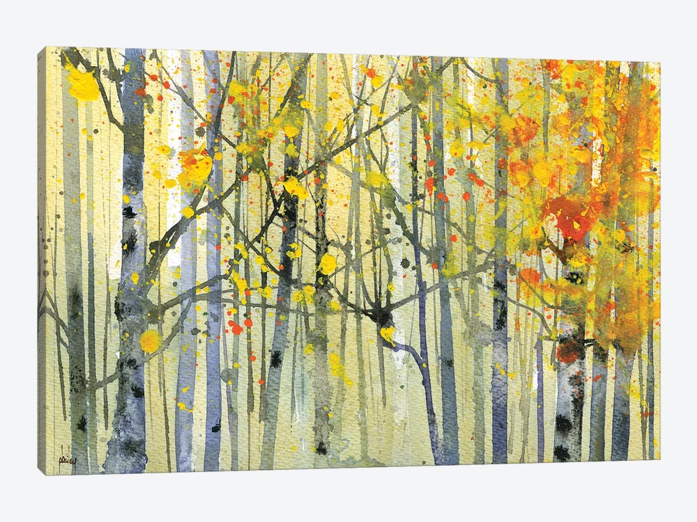Autumn Birches by Paul Bailey 1-piece Canvas Artwork