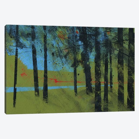 Forest Brook Canvas Print #PBA23} by Paul Bailey Canvas Print