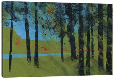 Forest Brook Canvas Art Print