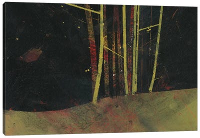 Into The Dark Wood Canvas Art Print