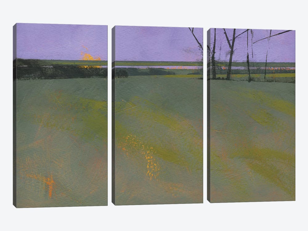 Millfields 3-piece Canvas Print