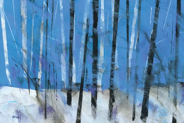 Black & White & Blue: Birch & Black Ash Saplings by Paul Bailey