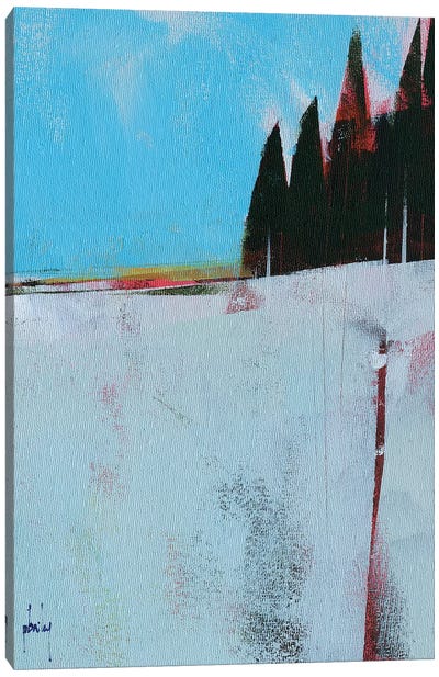 Snow Field Canvas Art Print