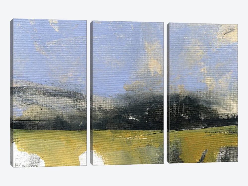 Umber Wood by Paul Bailey 3-piece Canvas Artwork