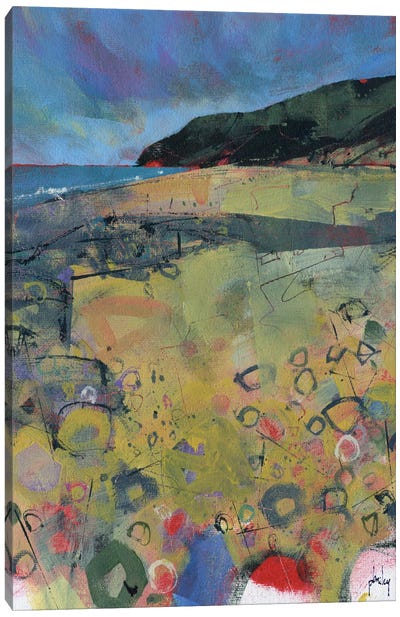 Penbryn Beach Canvas Art Print - Paul Bailey