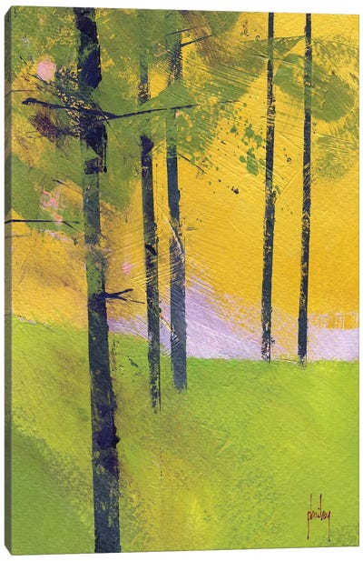 Simple Spruce Canvas Art Print