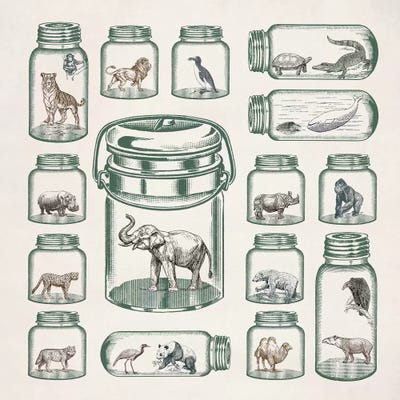 Endangered Species Preservation by Paula Belle Flores canvas print