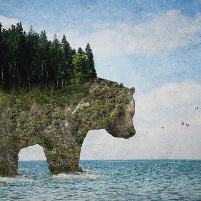 Ursidora: The Invisible Bear Island by Paula Belle Flores metal wall art