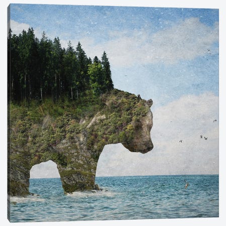 Ursidora: The Invisible Bear Island Canvas Print #PBF106} by Paula Belle Flores Canvas Art
