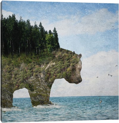 Ursidora: The Invisible Bear Island Canvas Art Print - Paula Belle Flores