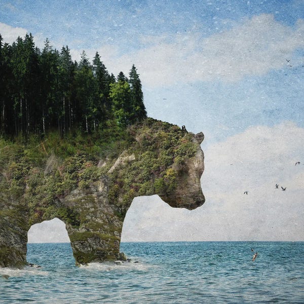 Paula Belle Flores: Ursidora: The Invisible Bear Island by Paula Belle Flores