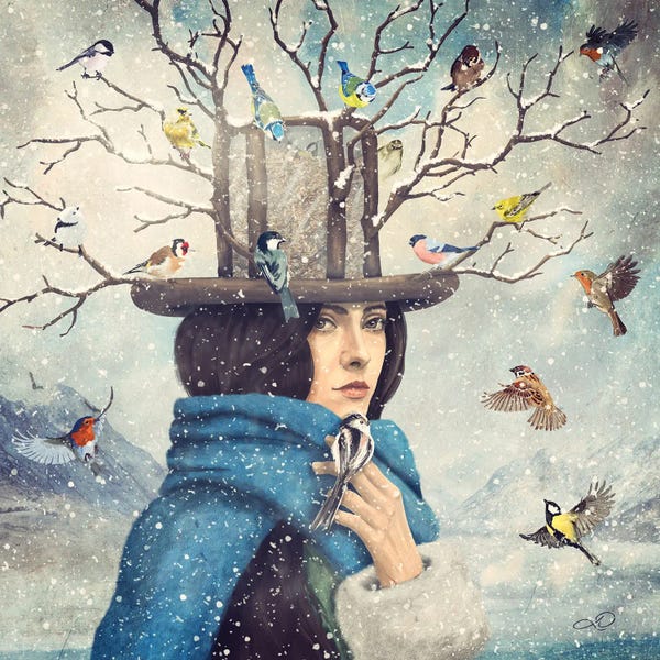 Snow: The Lady With The Bird Feeder Hat by Paula Belle Flores