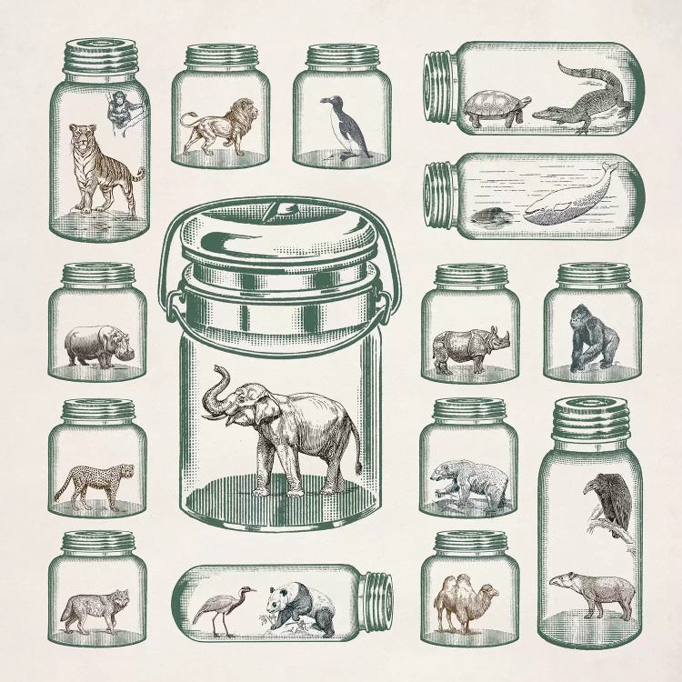 Endangered Species Preservation by Paula Belle Flores wall art