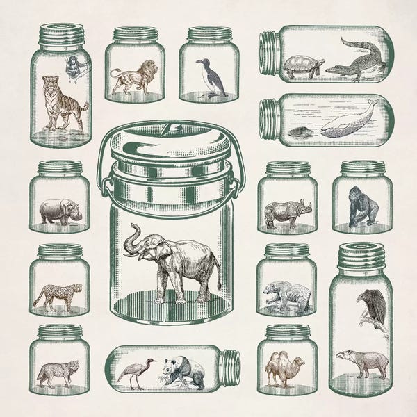 Paula Belle Flores: Endangered Species Preservation by Paula Belle Flores