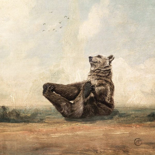 Grizzly Bears: The Yoga Bear by Paula Belle Flores