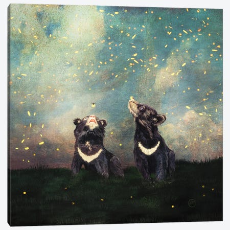 The Bear Brothers And The Firefly Show Canvas Print #PBF113} by Paula Belle Flores Canvas Wall Art