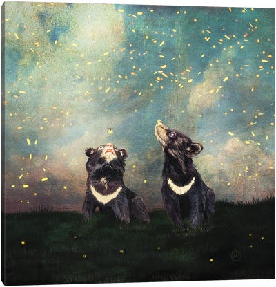 The Bear Brothers And The Firefly Show Canvas Art Print - Black Bears