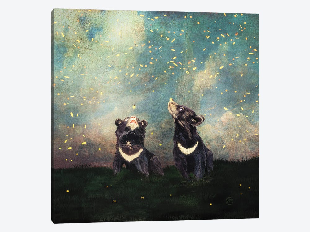 The Bear Brothers And The Firefly Show by Paula Belle Flores 1-piece Canvas Art Print