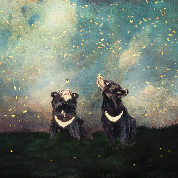 Paula Belle Flores: The Bear Brothers And The Firefly Show by Paula Belle Flores