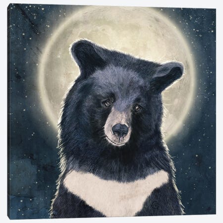 Moon Bear Portrait Canvas Print #PBF114} by Paula Belle Flores Art Print