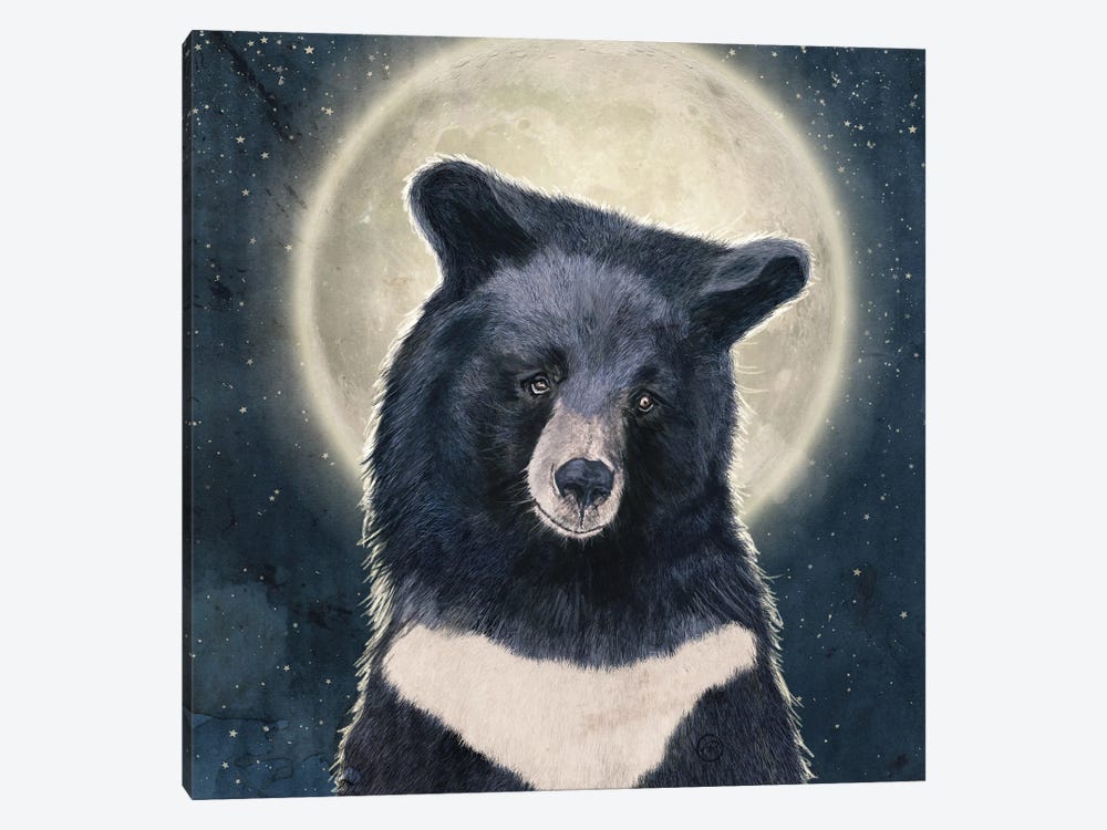 Moon Bear Portrait by Paula Belle Flores 1-piece Canvas Wall Art