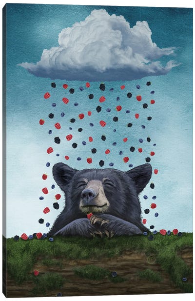 A Bear's Dream Canvas Art Print - Black Bear Art