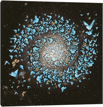 Butterfly Galaxy Canvas Art Print - Paula Belle Flores