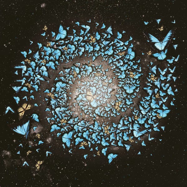 Paula Belle Flores: Butterfly Galaxy by Paula Belle Flores