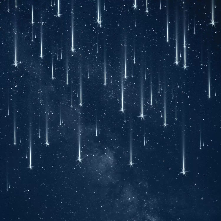 Falling Stars by Paula Belle Flores wall art