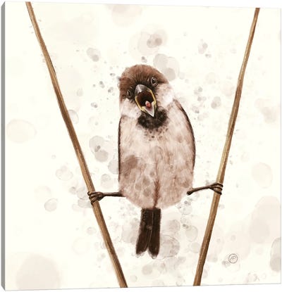 The Sparrow Who Likes Van Damme Canvas Art Print - Sparrow Art