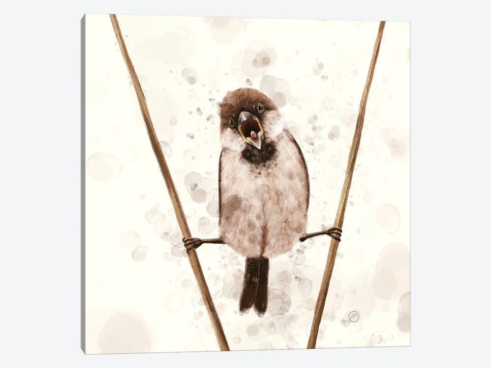 The Sparrow Who Likes Van Damme by Paula Belle Flores 1-piece Art Print