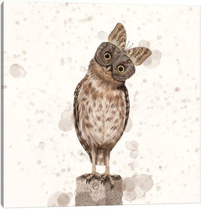 Owl Butterfly Owl Canvas Art Print - Paula Belle Flores