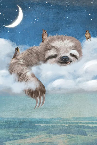 Sloths: A Sloth's Dream by Paula Belle Flores