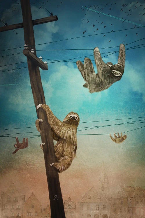 Sloth City