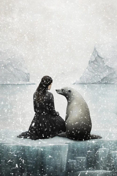 My Friend, The Seal by Paula Belle Flores wall art