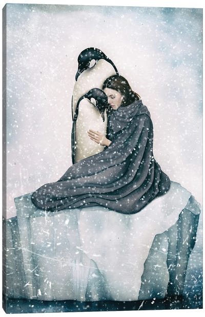 The Last Snow Canvas Art Print - Penguin Art