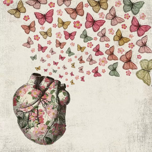 Hearts: In Love: Heart And Butterfly by Paula Belle Flores